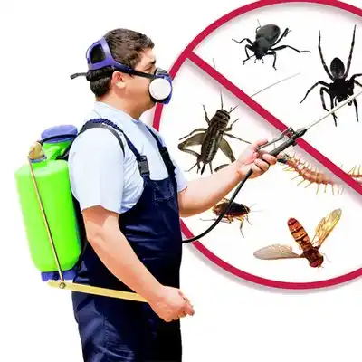 pest control Bayou Gauche